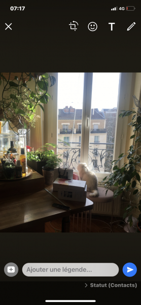 Photo du logement