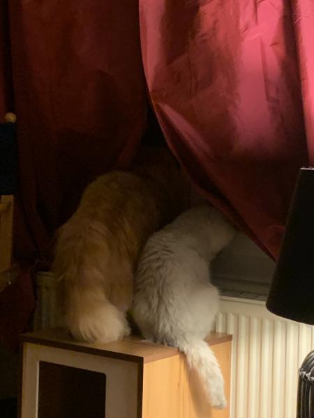 Photo du logement