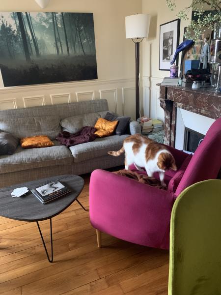 Photo du logement