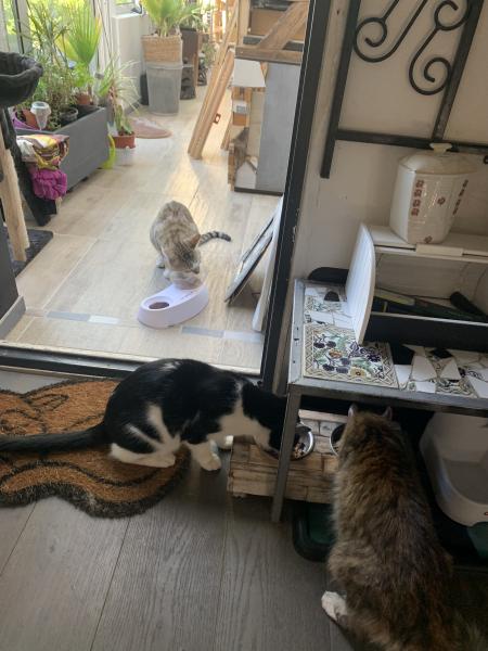Photo du logement