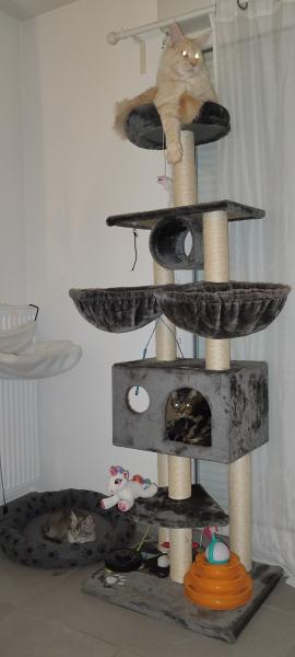 Photo du logement