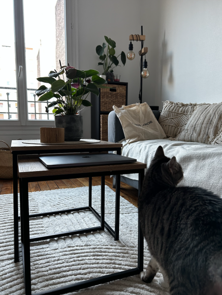 Photo du logement