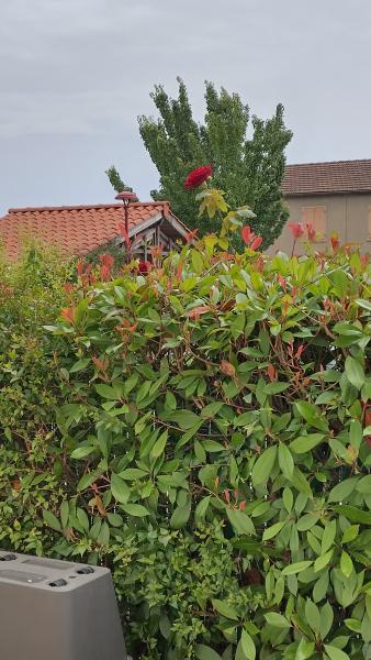 Photo du logement