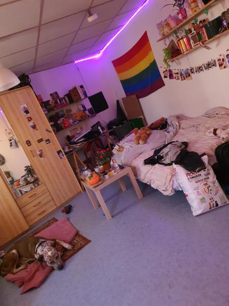 Photo du logement