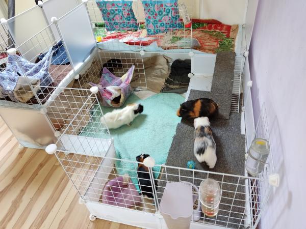 Photo du logement