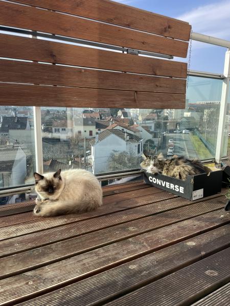 Photo du logement