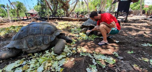 Photo du logement
