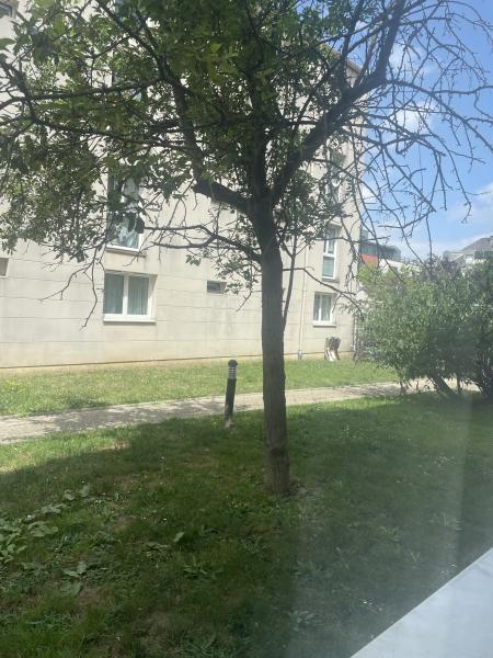 Photo du logement