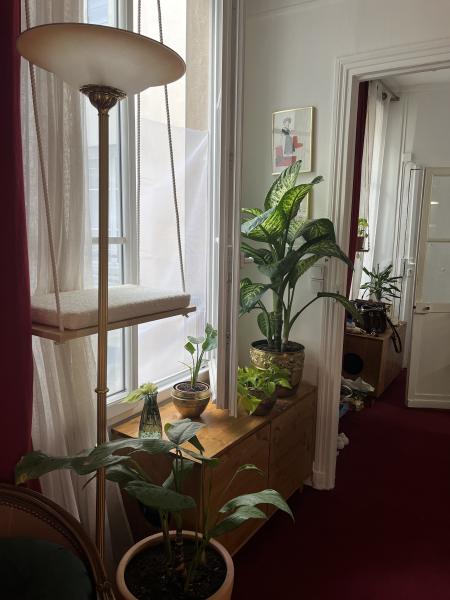 Photo du logement
