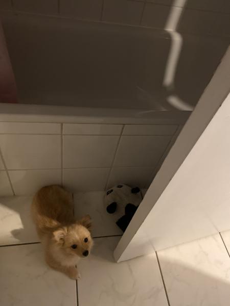 Photo du logement