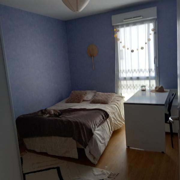 Photo du logement