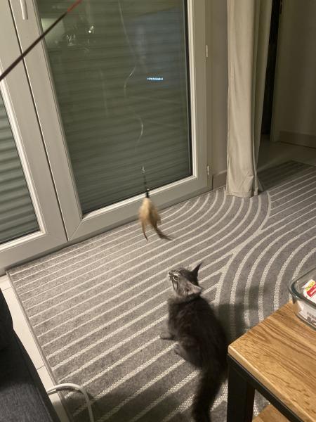 Photo du logement