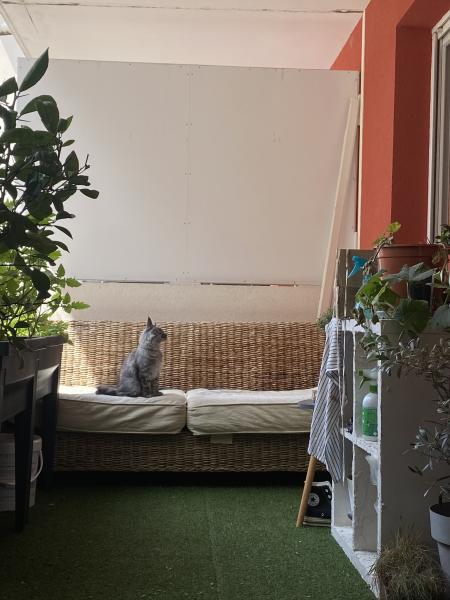 Photo du logement