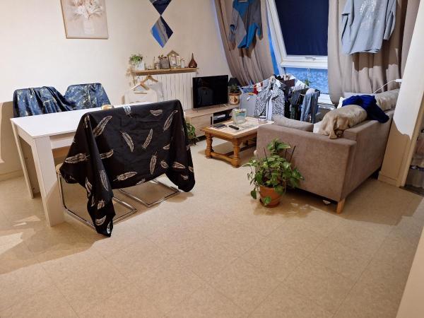 Photo du logement