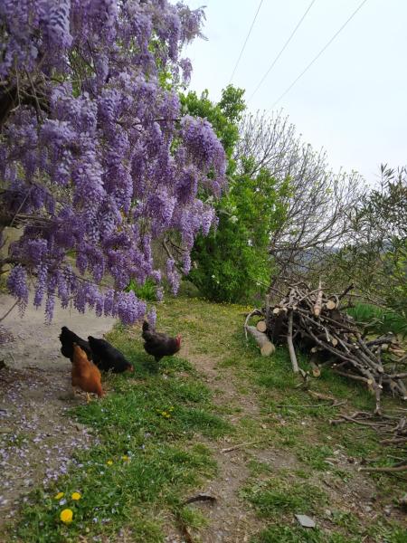 Photo du logement