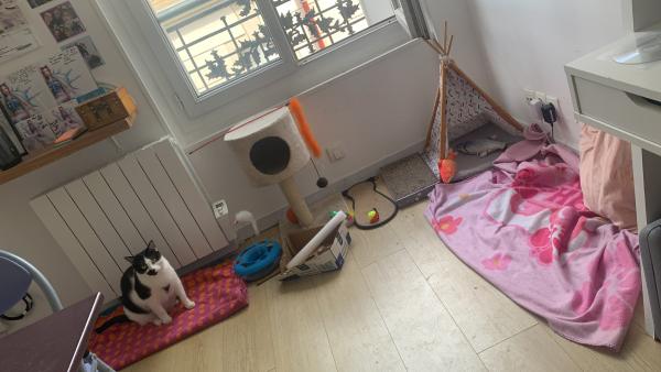 Photo du logement