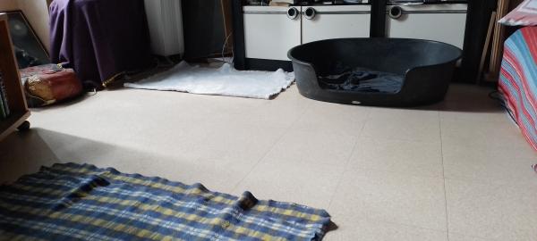 Photo du logement