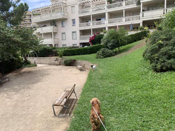 Photo du logement