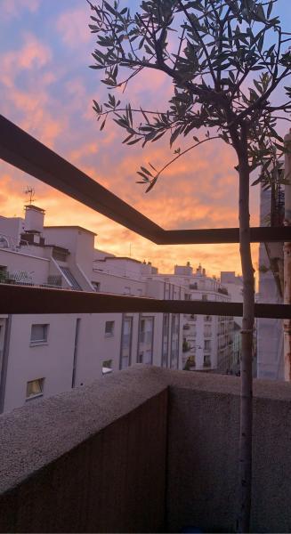 Photo du logement