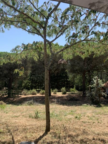 Photo du logement