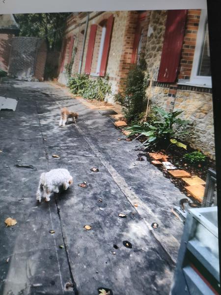 Photo du logement