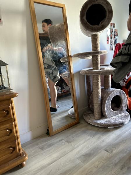 Photo du logement