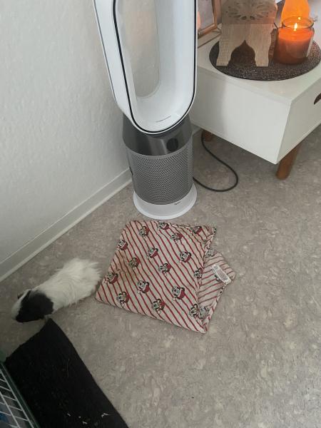 Photo du logement