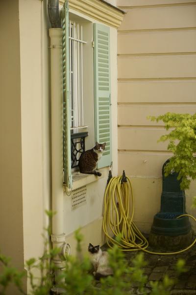 Photo du logement