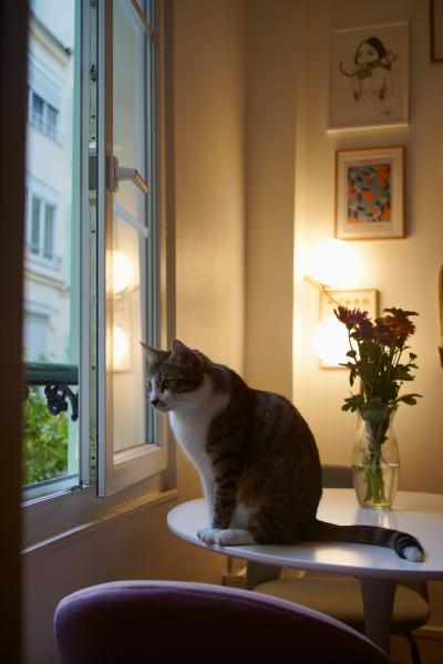 Photo du logement
