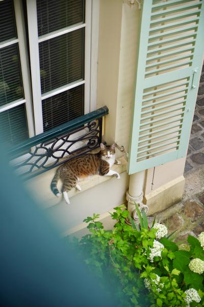 Photo du logement