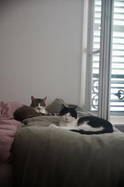 Photo du logement