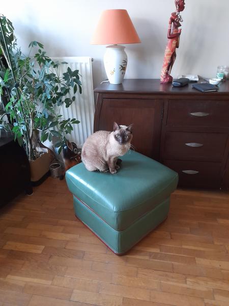 Photo du logement
