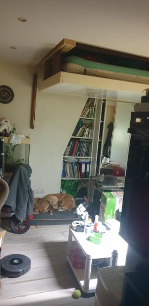 Photo du logement