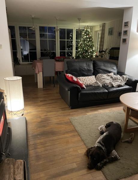 Photo du logement