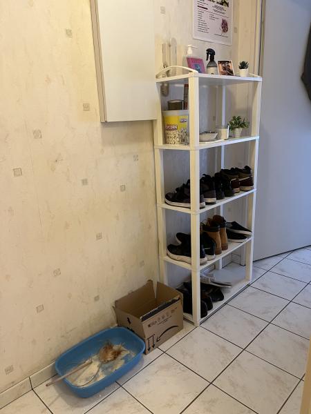 Photo du logement