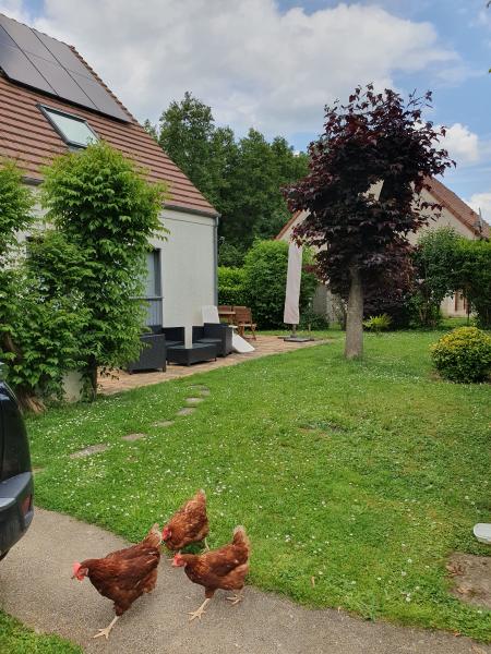 Photo du logement