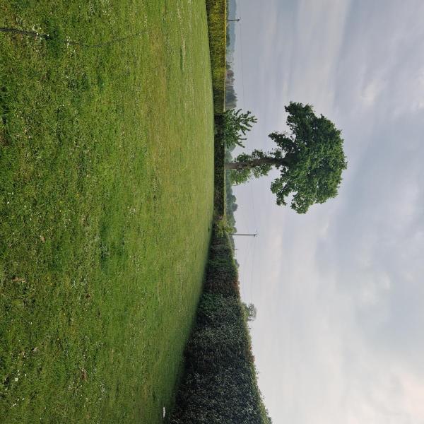 Photo du logement