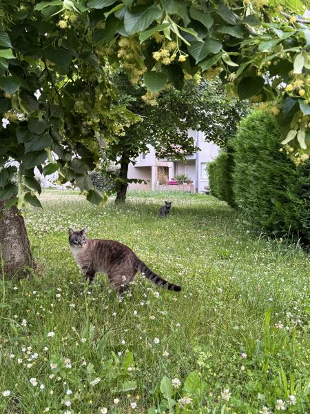 Photo du logement