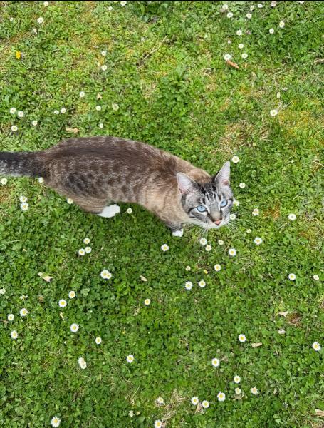 Photo du logement