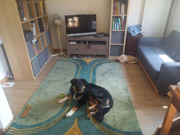 Photo du logement