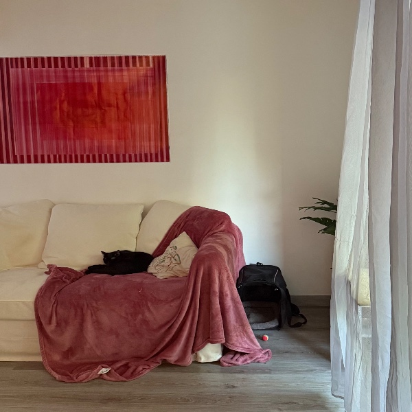 Photo du logement