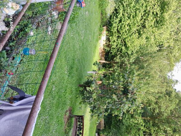 Photo du logement