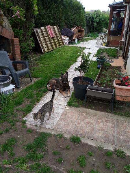 Photo du logement