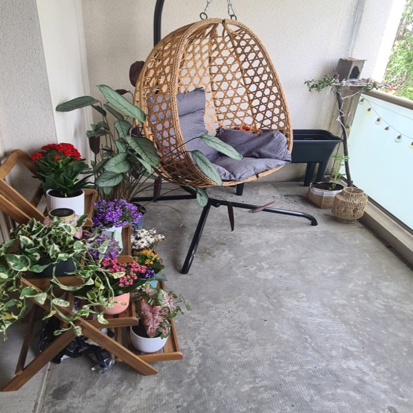 Photo du logement