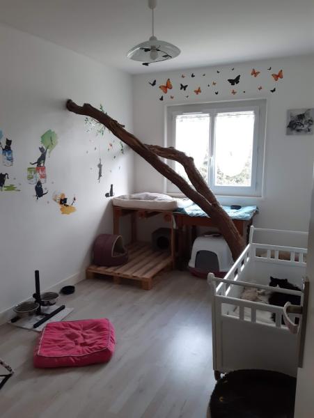 Photo du logement