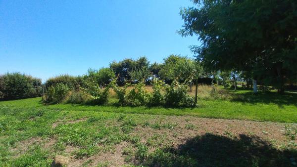 Photo du logement
