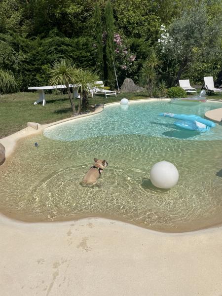 Photo du logement