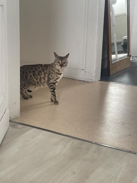 Photo du logement