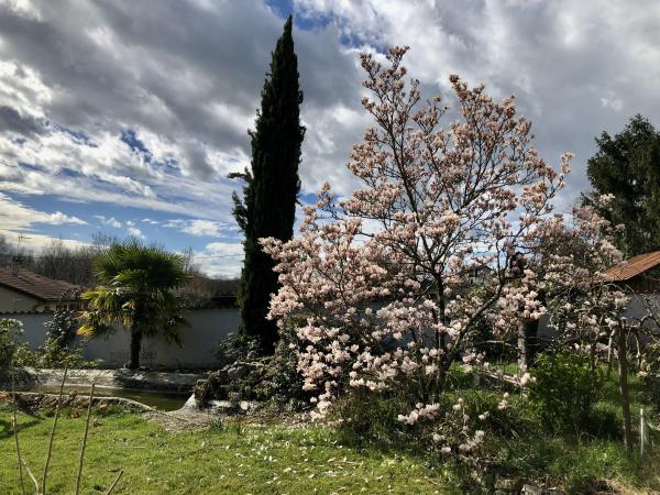 Photo du logement