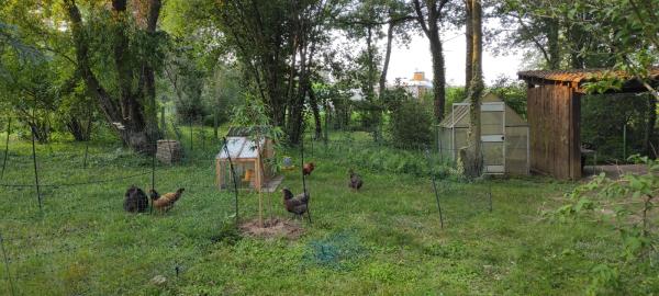 Photo du logement